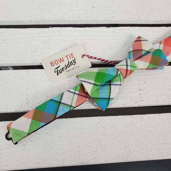 Bow Tie Tuesday Cream Pink Blue Green Pastel Tie - Picture 4 of 7